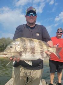 Hot Spring Break Sheepshead Action 