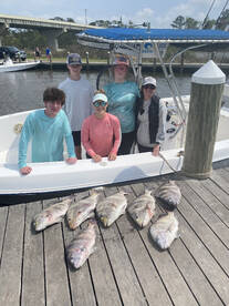 Fairhope Report Photo 2