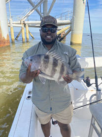 Mobile Bay Sheepshead bite is starting t