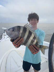 Fairhope Report Photo 1