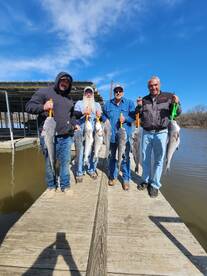 Another catfish - spoonbill spank down 