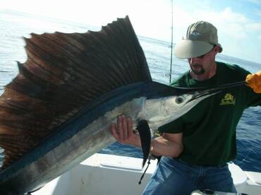 His first sailfish 