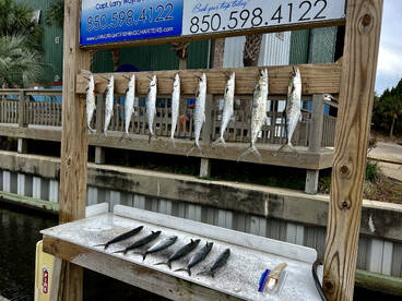 Living Right Fishing Charters