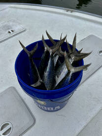 Destin Report Photo 2