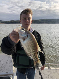 CRAPPIE - CRAPPIE- CRAPPIE