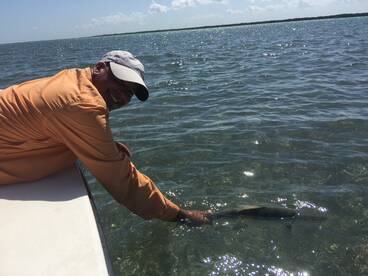 Eduardo releasing his bonefish