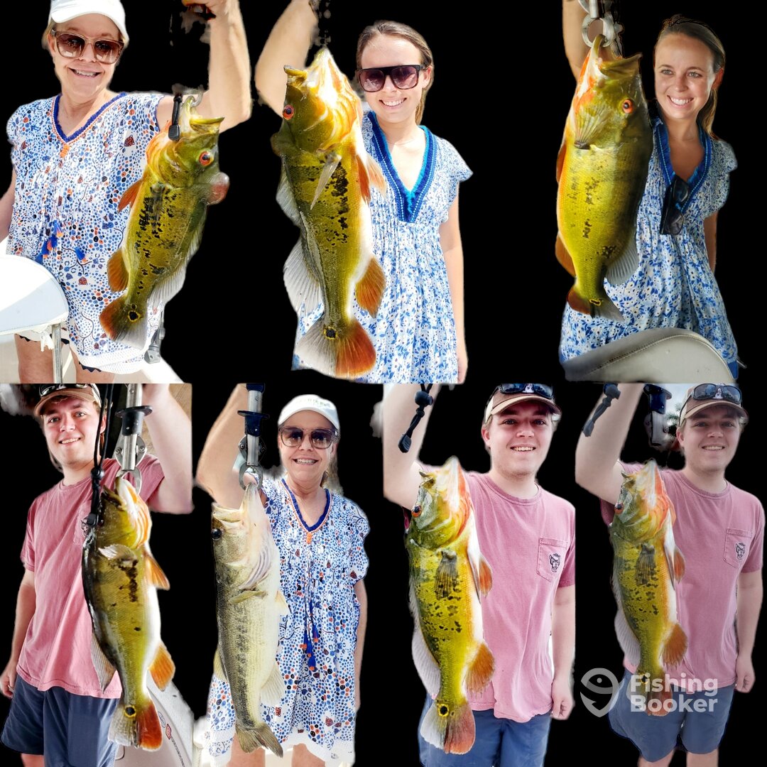Delray Beach Report Photo 0