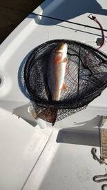 Panama City Beach Report Photo 2