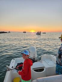 Beautiful morning and many different spe