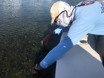 Bonefish release 