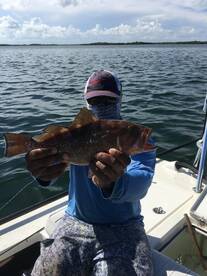 Biscayne Bay red grouper 