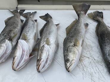 Galveston East Bay 3/12/2023