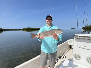 Redfish