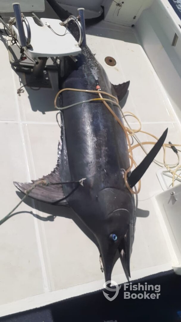 Le Morne Report Photo 0