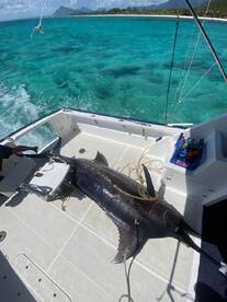 Le Morne Report Photo 2
