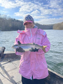 Branson Report Photo 2