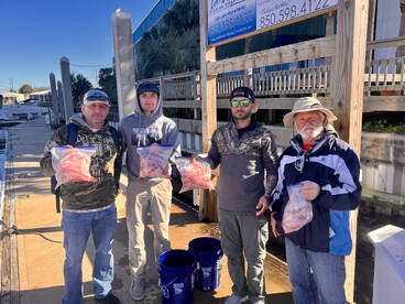 Destin Report Photo 2