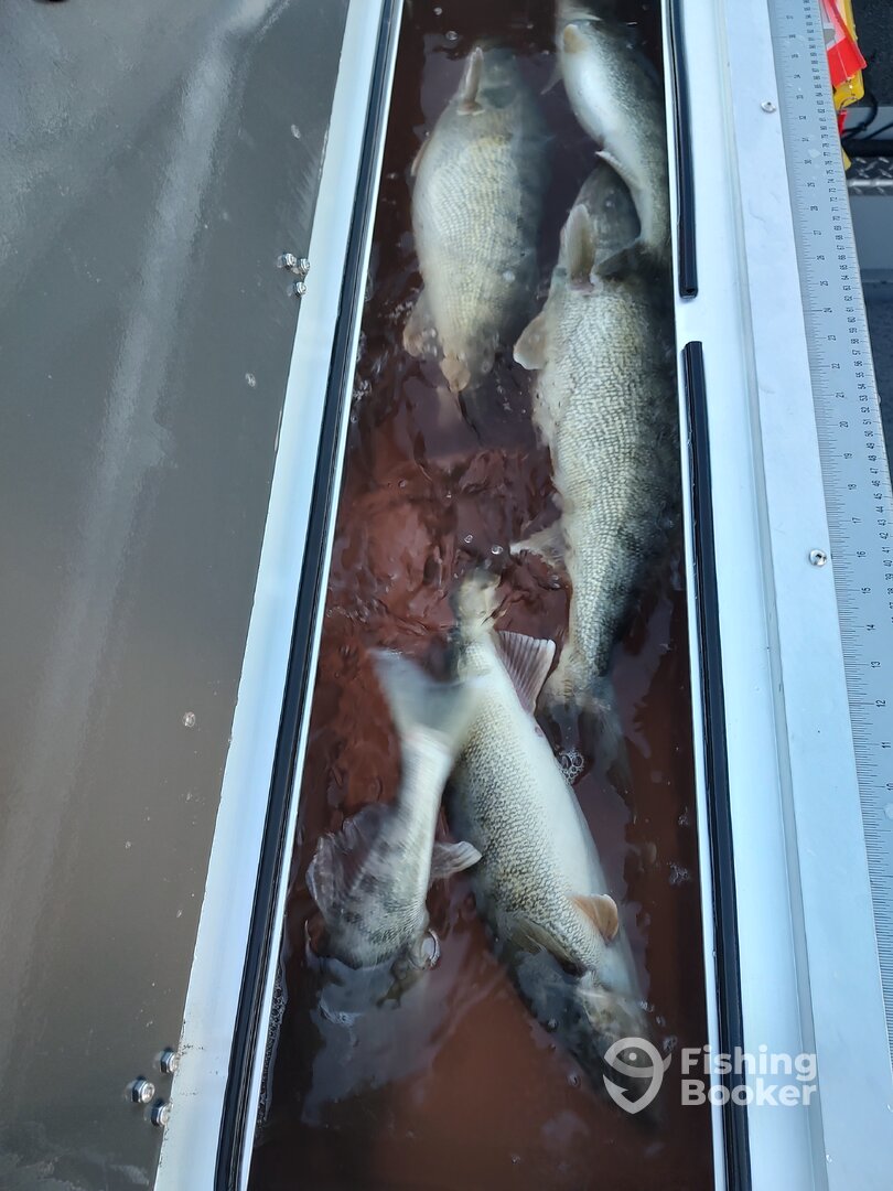 Lakeside Marblehead Report Photo 0