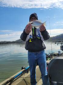 Harrison Report Photo 1