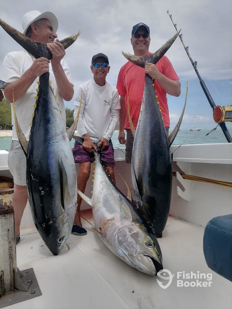 Le Morne Report Photo 0