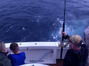 Sydney Report Photo 2