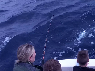 Sydney Report Photo 1