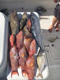 Fall Fishing is in full swing!