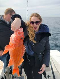 02/17/2023 3/4 Day Coastline