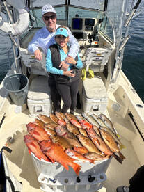 02/19/2023 3/4 Day Coastline