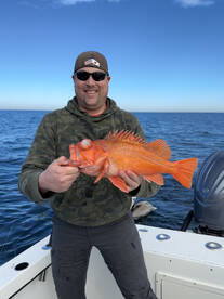 02/20/2023 3/4 Day Coastline