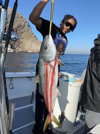 03/03/2023 3/4 Day Coronados Yellowtail!