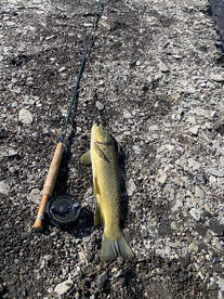 Wanchese Report Photo 2