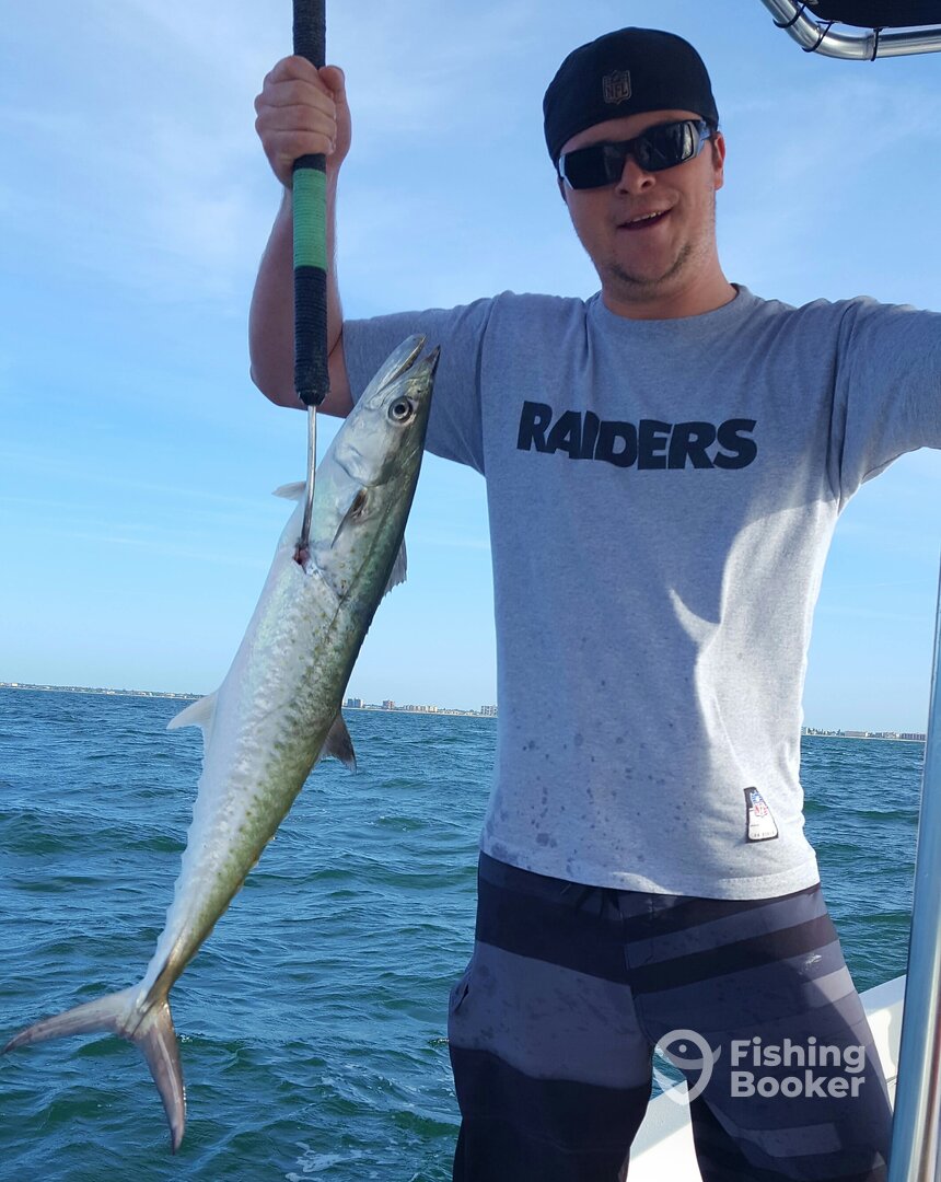 Spanish Mackerel - a.k.a.,