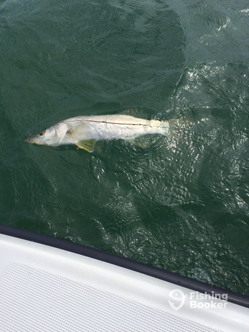 Big Pine Key Report Photo 0