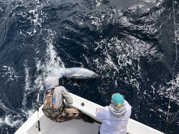 Hatteras Report Photo 2