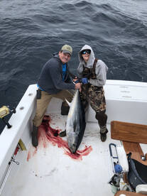 Hatteras Report Photo 1