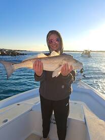 Redfish
