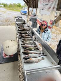 They still bite in the cold  