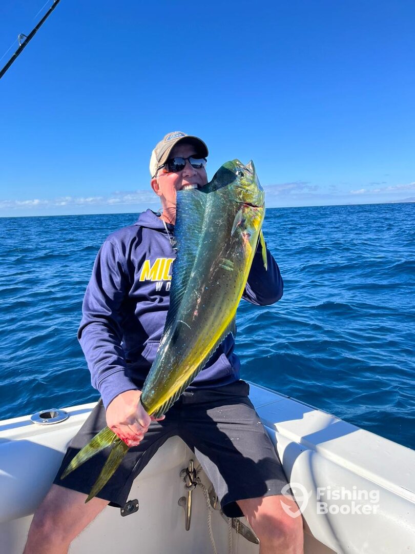 Cabo San Lucas Report Photo 0