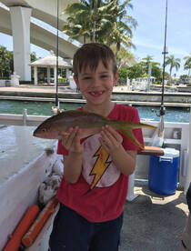 Kid with a nice yellowtail snapper he caught deep sea fishing.