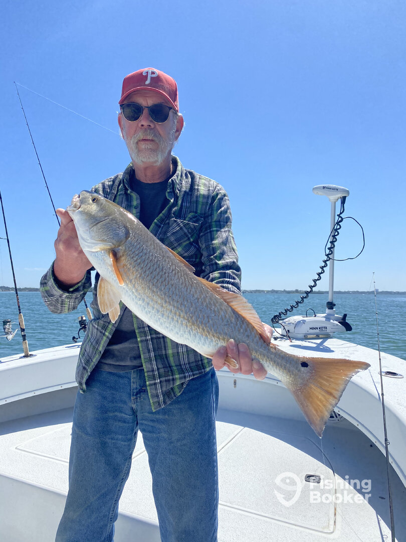 Clearwater Report Photo 0