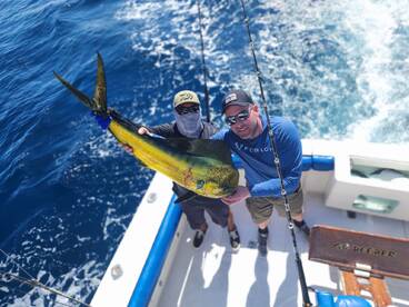 Capturing the glow of gold