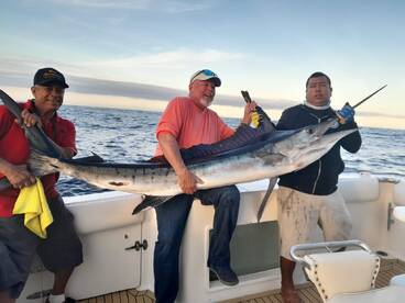 Cabo San Lucas Report Photo 2