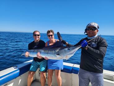 Marlin and dorado together on the hook