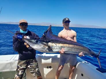 Cabo San Lucas Report Photo 1