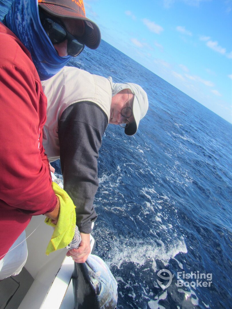Cabo San Lucas Report Photo 0