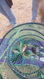 Cape Town Report Photo 1