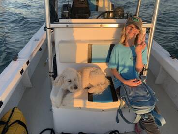 Shalimar Report Photo 1