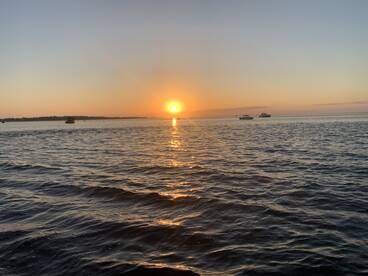 Shalimar Report Photo 2