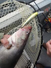 Lakeside Marblehead Report Photo 1